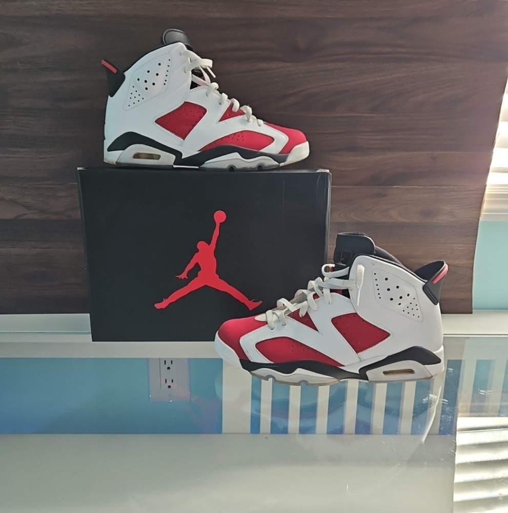 Jordan 6 Carmine Size 10.5
